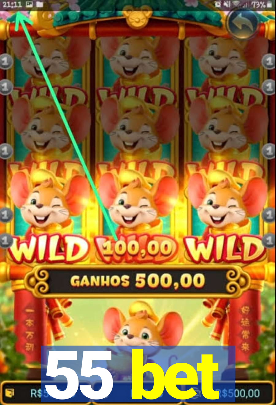 55 bet